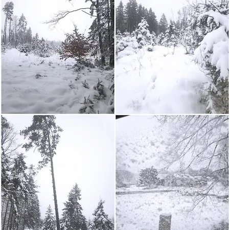 Prima Chata Ceska Kanada 別荘 Nová Bystřice