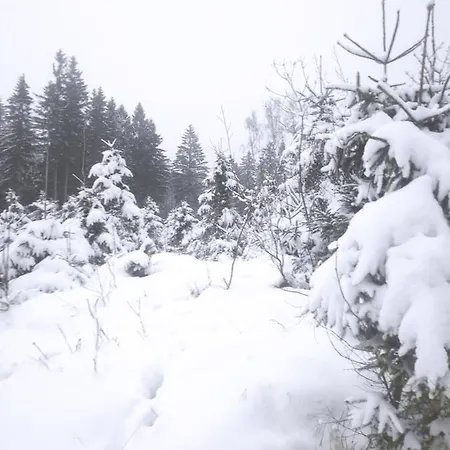 Prima Chata Ceska Kanada 別荘 Nová Bystřice